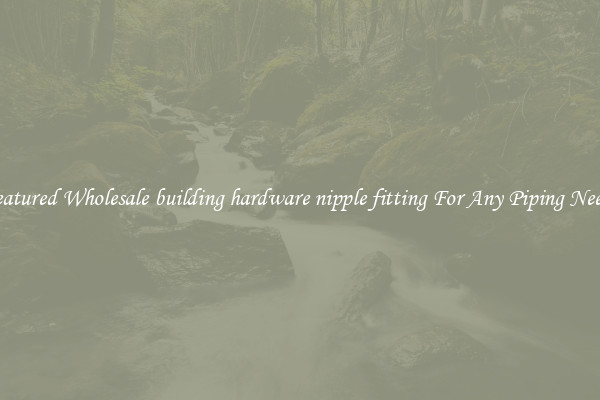 Featured Wholesale building hardware nipple fitting For Any Piping Needs