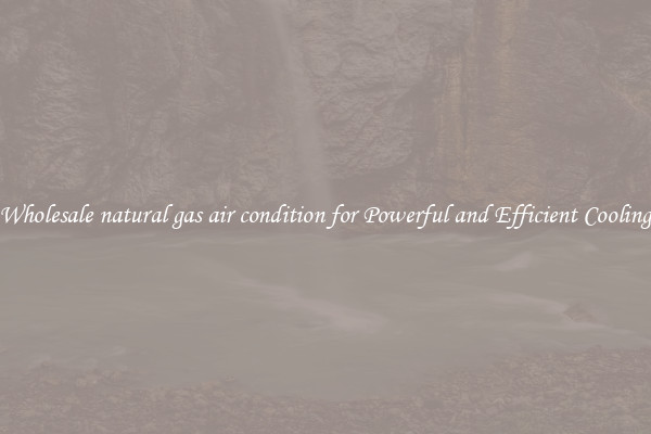 Wholesale natural gas air condition for Powerful and Efficient Cooling