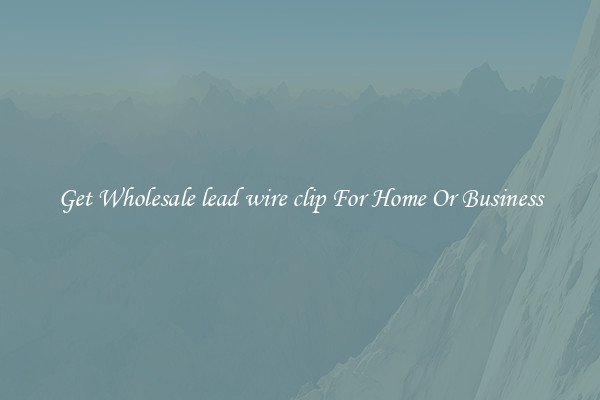 Get Wholesale lead wire clip For Home Or Business