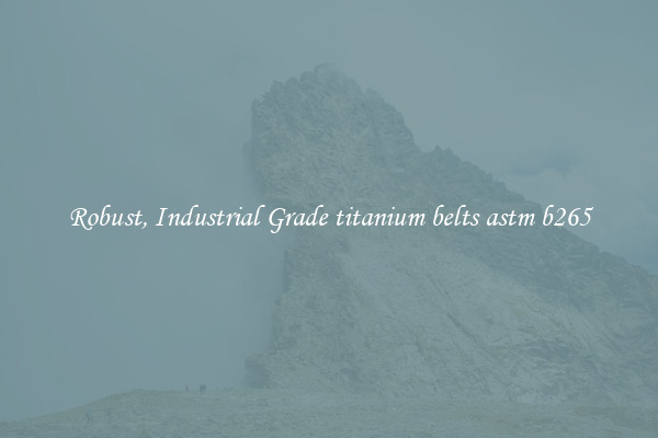 Robust, Industrial Grade titanium belts astm b265