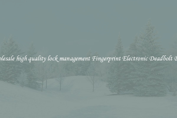 Wholesale high quality lock management Fingerprint Electronic Deadbolt Door 