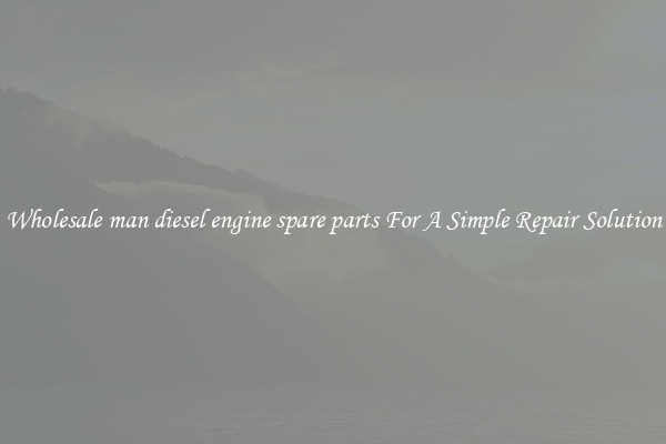 Wholesale man diesel engine spare parts For A Simple Repair Solution