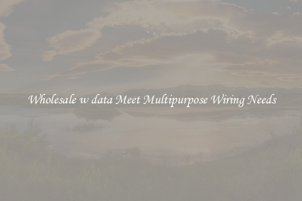 Wholesale w data Meet Multipurpose Wiring Needs