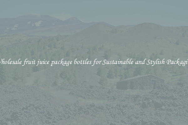 Wholesale fruit juice package bottles for Sustainable and Stylish Packaging