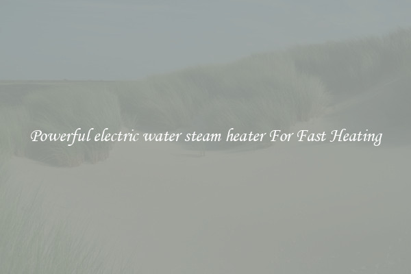 Powerful electric water steam heater For Fast Heating