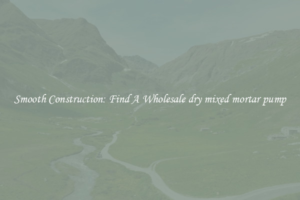  Smooth Construction: Find A Wholesale dry mixed mortar pump 