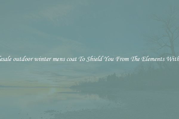 Wholesale outdoor winter mens coat To Shield You From The Elements With Style