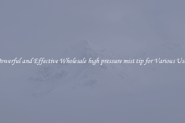 Powerful and Effective Wholesale high pressure mist tip for Various Uses