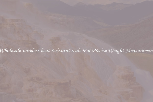 Wholesale wireless heat resistant scale For Precise Weight Measurement