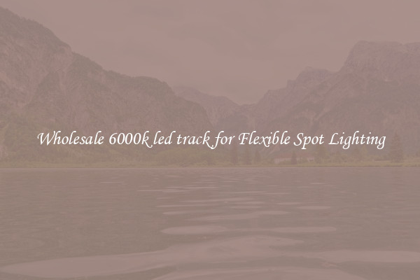 Wholesale 6000k led track for Flexible Spot Lighting