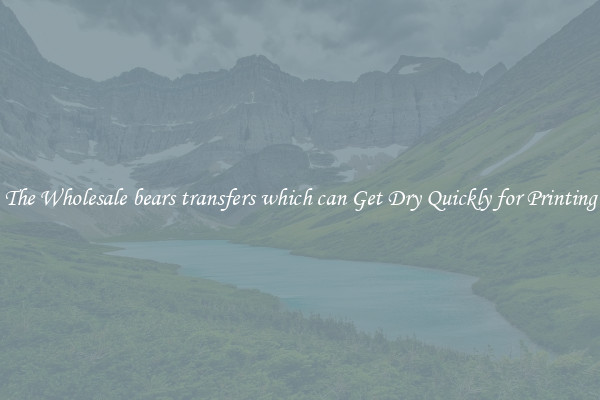 The Wholesale bears transfers which can Get Dry Quickly for Printing