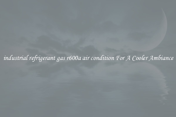 industrial refrigerant gas r600a air condition For A Cooler Ambiance