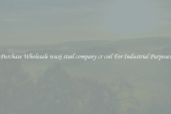Purchase Wholesale wuxi steel company cr coil For Industrial Purposes