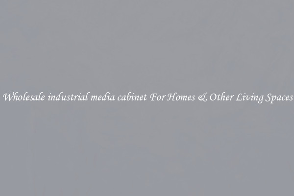 Wholesale industrial media cabinet For Homes & Other Living Spaces