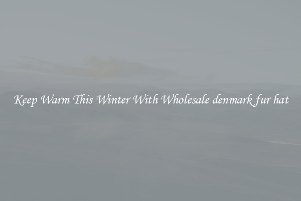 Keep Warm This Winter With Wholesale denmark fur hat