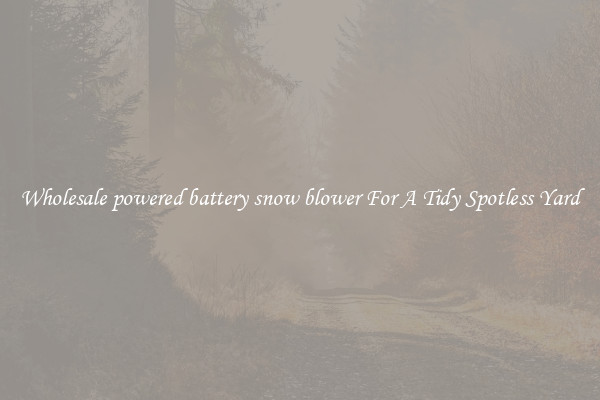 Wholesale powered battery snow blower For A Tidy Spotless Yard