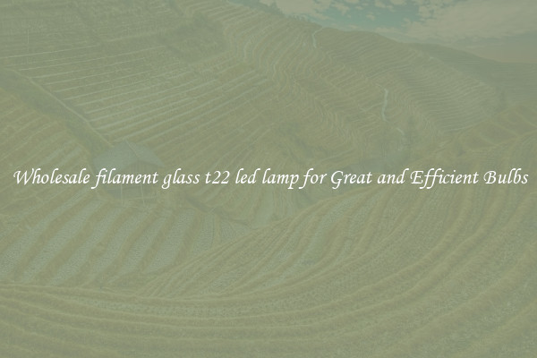 Wholesale filament glass t22 led lamp for Great and Efficient Bulbs