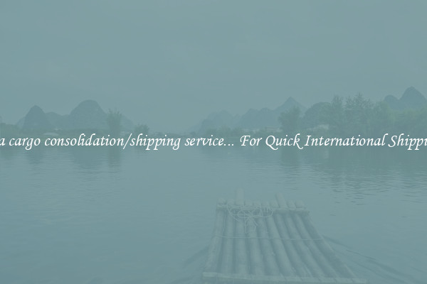 sea cargo consolidation/shipping service... For Quick International Shipping