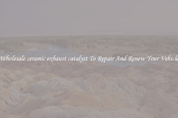Wholesale ceramic exhaust catalyst To Repair And Renew Your Vehicle