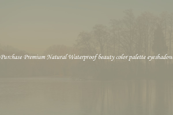 Purchase Premium Natural Waterproof beauty color palette eyeshadow