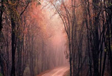 瘦脸神器v脸绷带旗舰店官方正品,v脸瘦脸仪有没有副作用