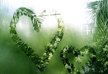 隆鼻老了以后有什么影响,隆鼻子老了之后有副作用吗