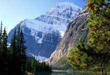 隆鼻注射价钱是多少,隆鼻注射隆鼻多少钱一针